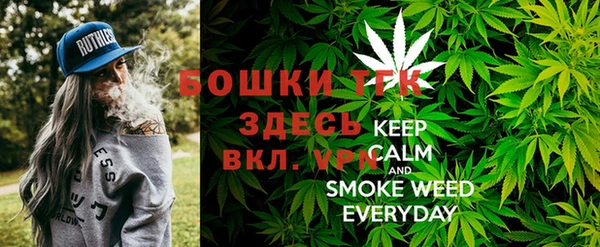 тгк Верея