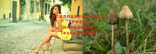 тгк Верея