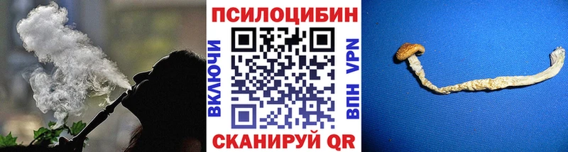 Псилоцибиновые грибы Psilocybine cubensis  Купить где  Свирск 